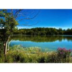 Lake Life by Syed Adeel Hussain