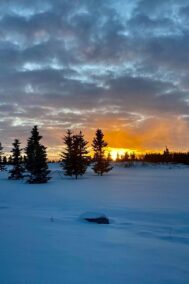 Snow and Sunset by Syed Adeel Hussain on PageMaster Publishing