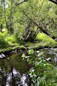 Summer Creek print by Syed Adeel Hussain on PageMaster Publishing