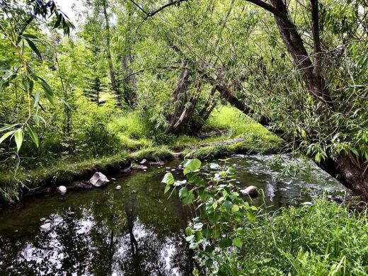 Summer Creek print by Syed Adeel Hussain on PageMaster Publishing