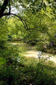 The Ravine by Syed Adeel Hussain