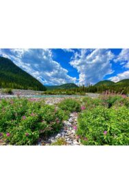 The Valley by Syed Adeel Hussain