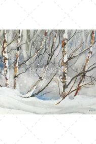 Winter Peace by Barbara Hull