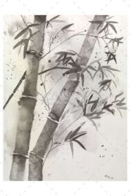 Bamboo Grace by Barbara Hull