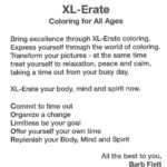 XL-Erate by Barb Flett Front Cover