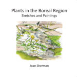 Plants in the Boreal Region: Sketches and Paintings by Joan Sherman Front Cover