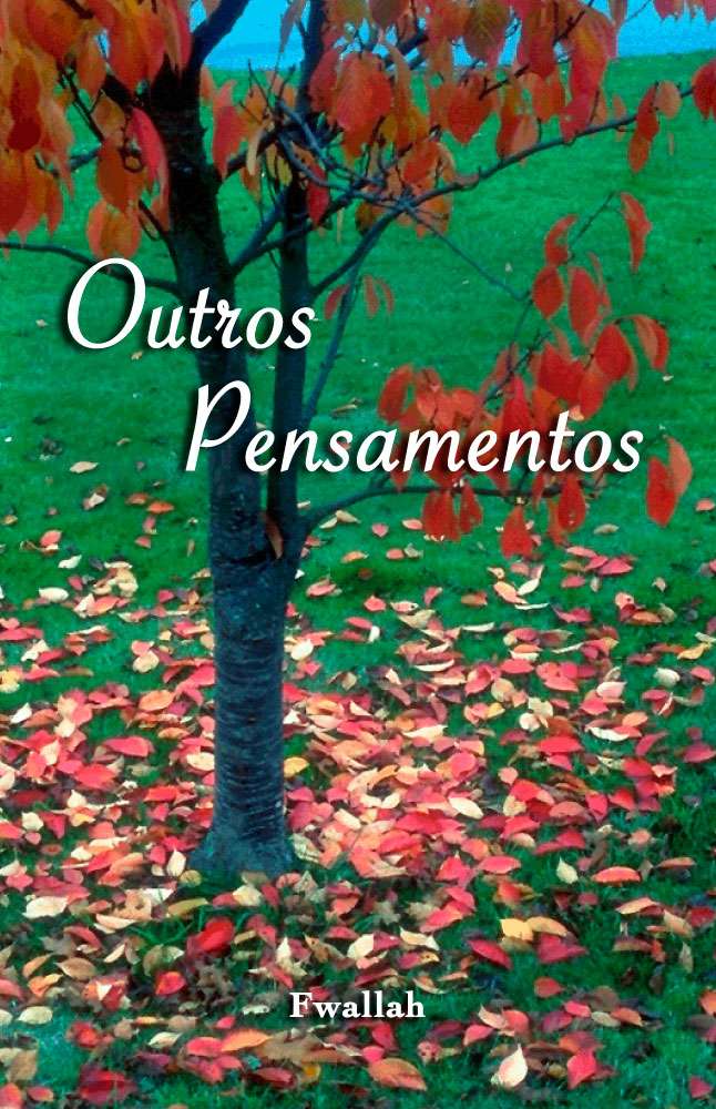 Front Cover of Outros Pensamentos by Francisco Fwallah