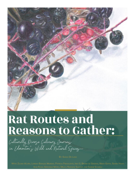 Front Cover of Rat Routes and Reasons to Gather: Culturally Diverse Culinary Journeys in Edmonton's Wild and Natural Spaces by Sarah De Lino