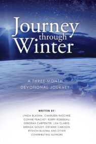 Front Cover of Journey Through Winter: A Three-Month Devotional Journey by Walk With Me Ministries