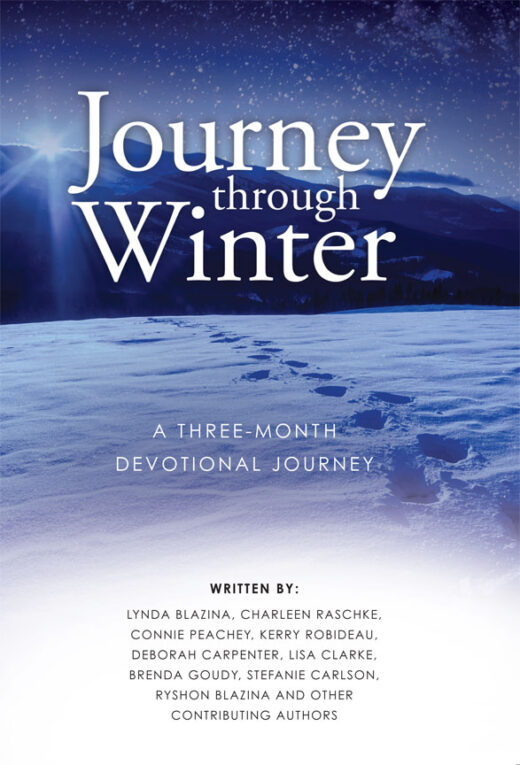 Front Cover of Journey Through Winter: A Three-Month Devotional Journey by Walk With Me Ministries