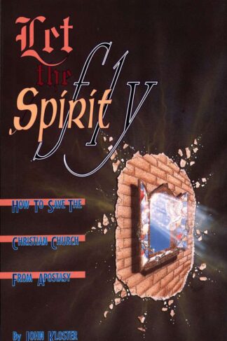 front cover of let the spirit fly by john kloster