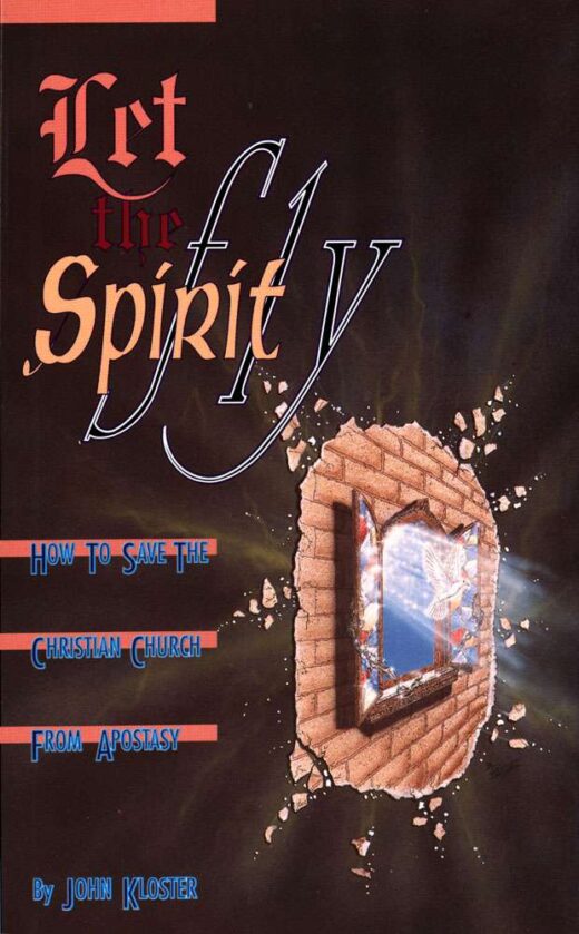 front cover of let the spirit fly by john kloster