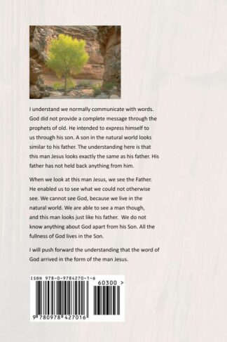 Back cover of "Jesus the Jewish Man" by Mark Fremmerlid