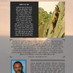 The Role in the Church of Ethiopia by Rediet Melkamu Back Cover