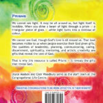 Back Cover of PRISMS by Clair and Joyce Woodbury
