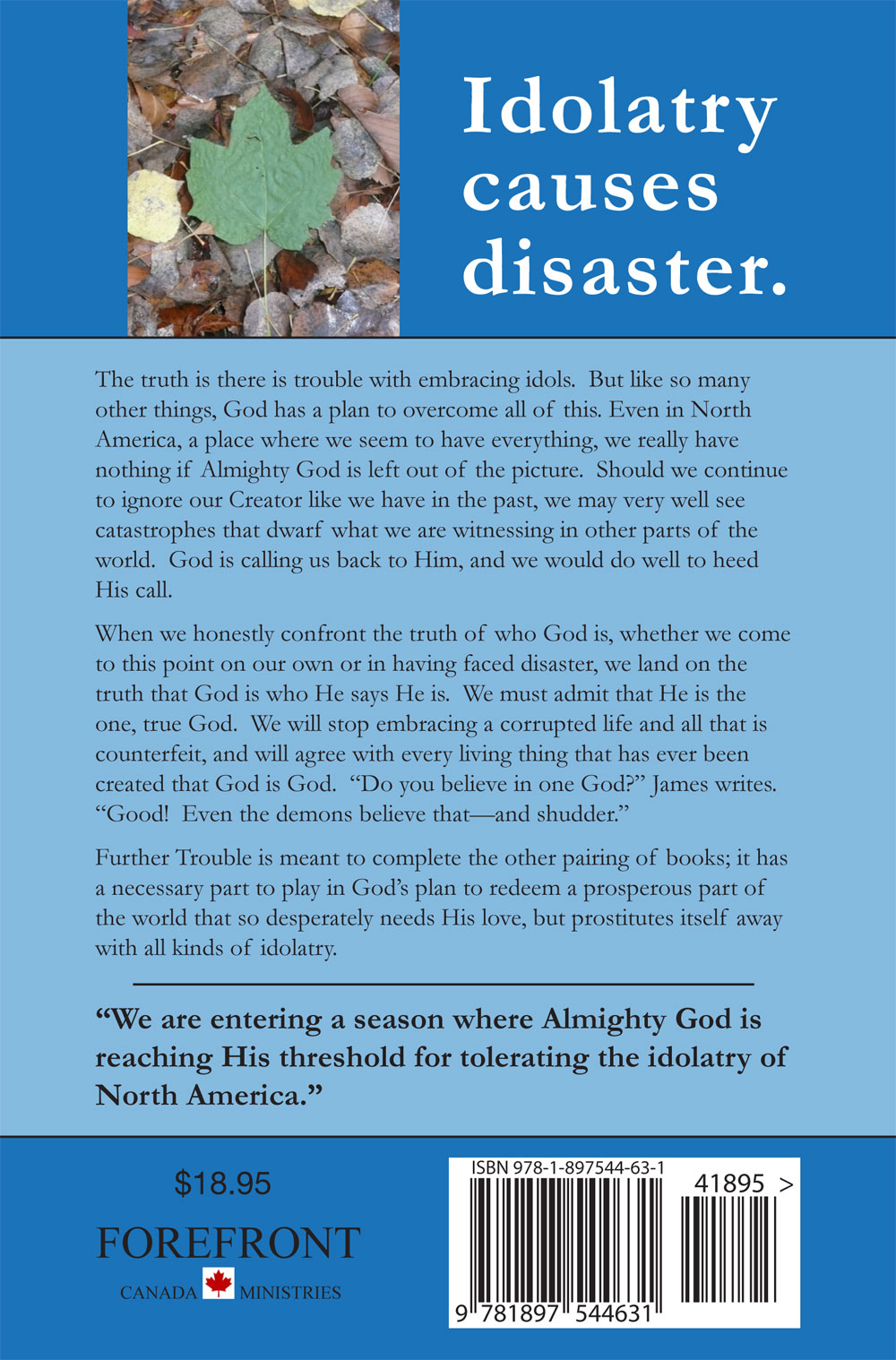 Back Cover of Further Trouble with Idols by Gregory A. Gibson