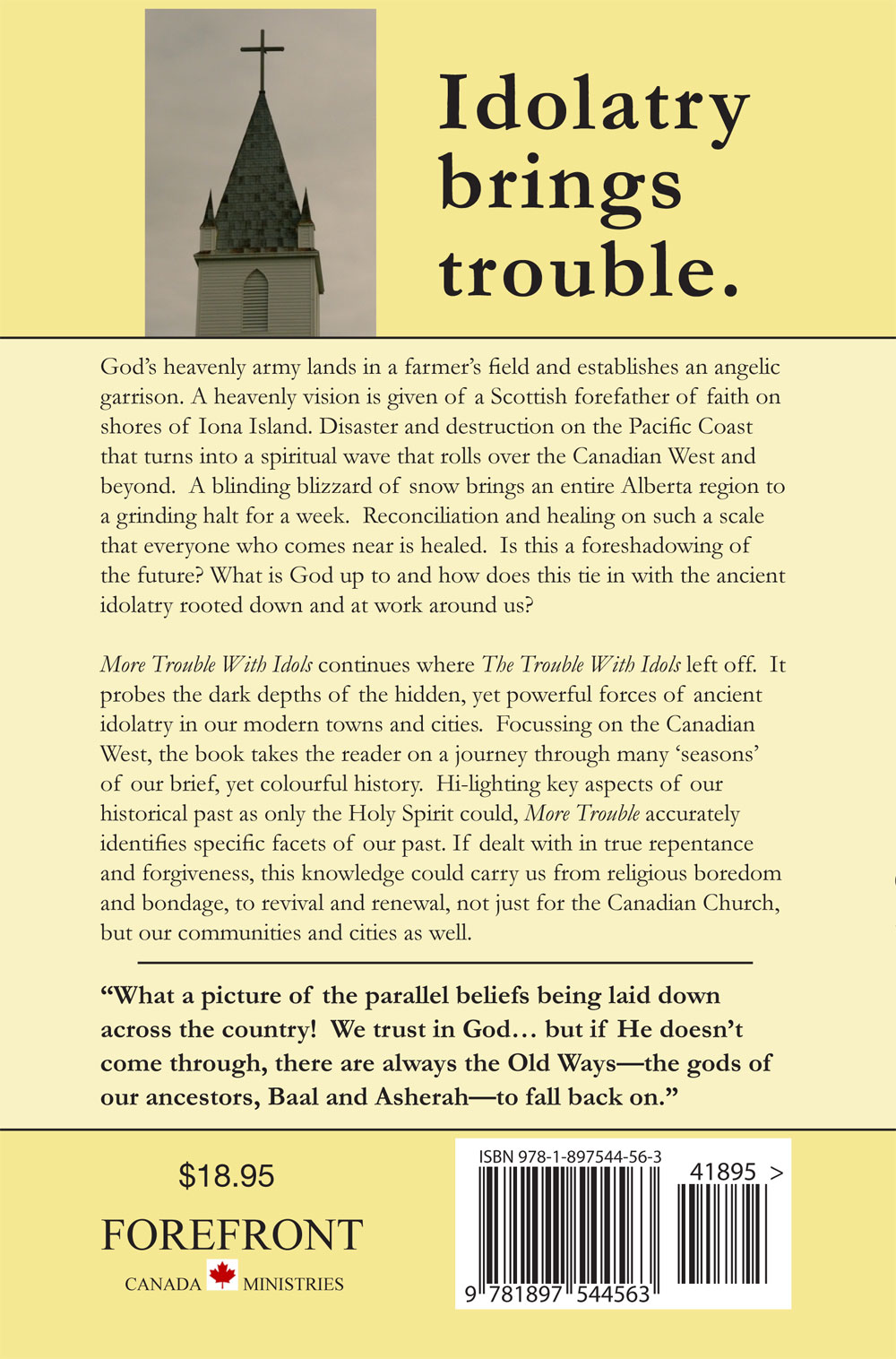 Back Cover of More Trouble with Idols by Greg Gibson