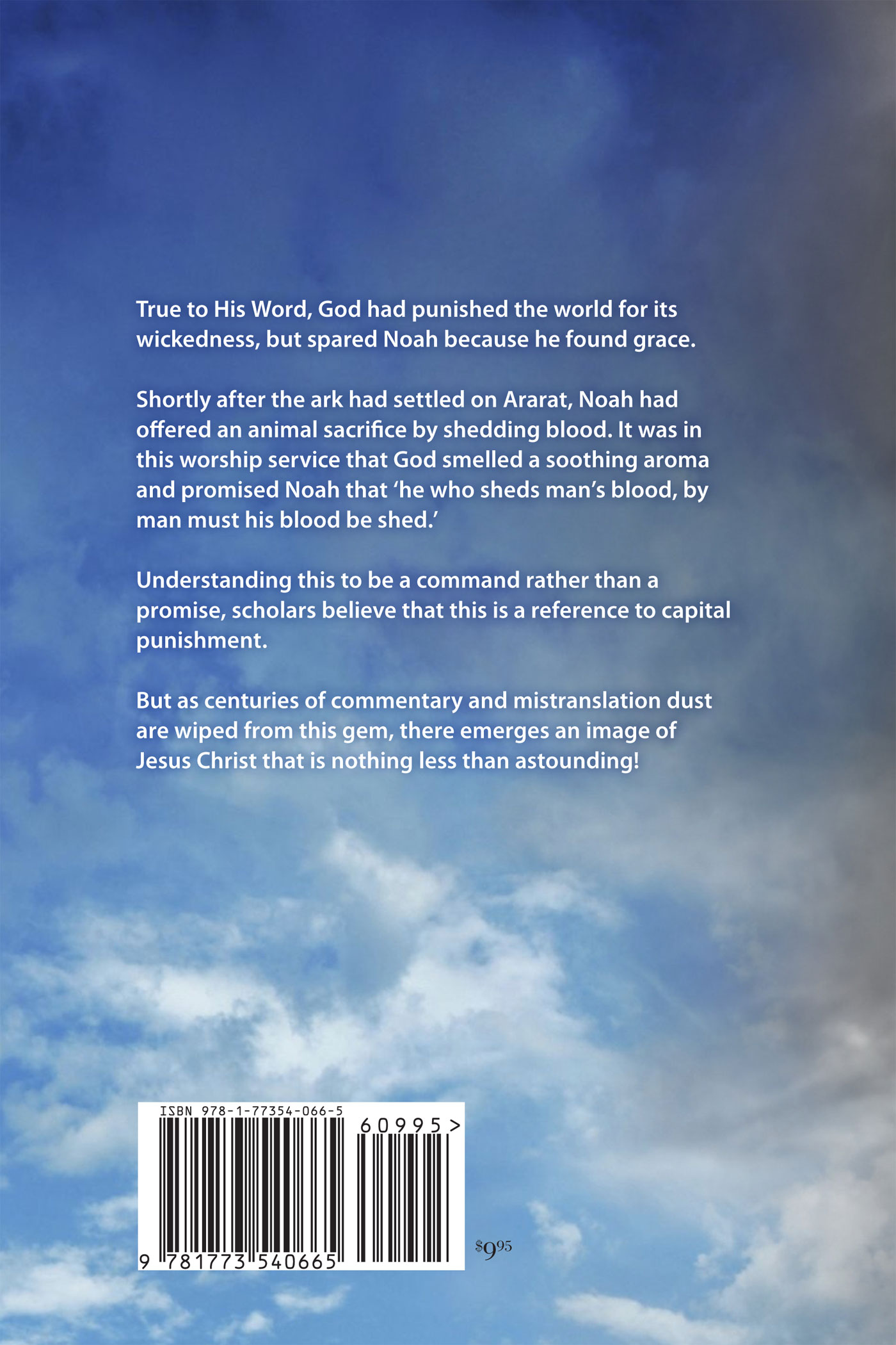 Back Cover of The Gospel of the Rainbow Sign by Howard W. Boldt