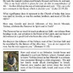 Back Cover of Messiah Revealed in the Passover by Hannah Nesher