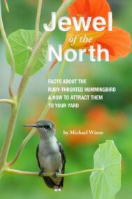 Jewel of the North by Michael Wiens Front Cover
