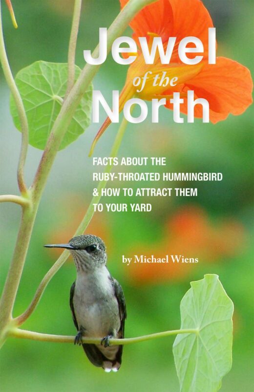 Jewel of the North by Michael Wiens Front Cover