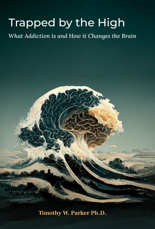 Trapped by the High by Timothy Parker FRONT COVER