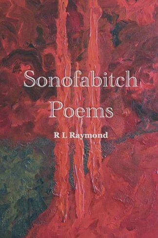 Sonofabitch by R L Raymond Front Cover