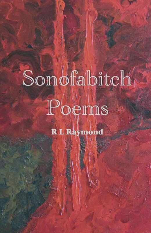 Sonofabitch by R L Raymond Front Cover