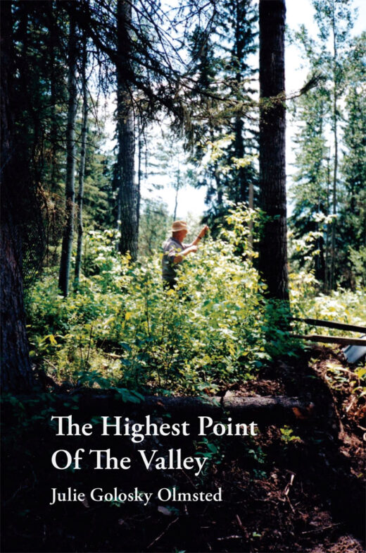 The Highest Point of the Valley by Julie Golosky Olmsted Front Cover