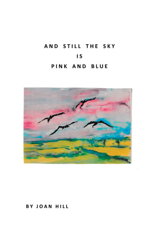 And Still the Sky is Pink and Blue by Joan Hill FRONT COVER