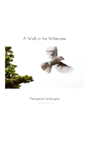 A Walk in the Wilderness by Sheryl Hanula Front Cover