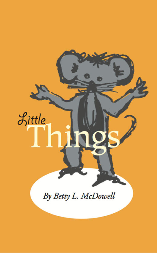 Little Things by Betty McDowell FRONT COVER