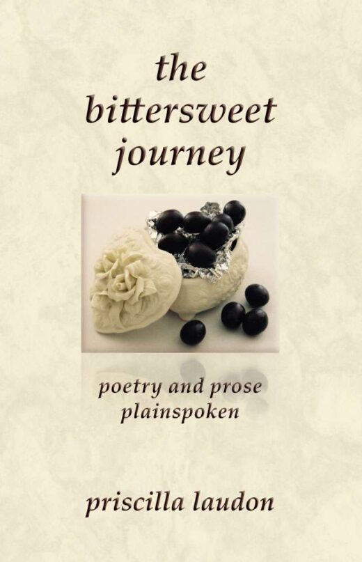 The Bittersweet Journey by Priscilla Laudon FRONT COVER