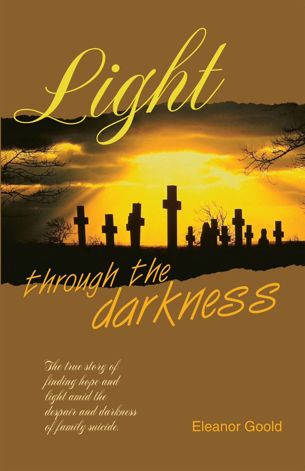 Front Cover of Light Through the Darkness by Eleanor Goold
