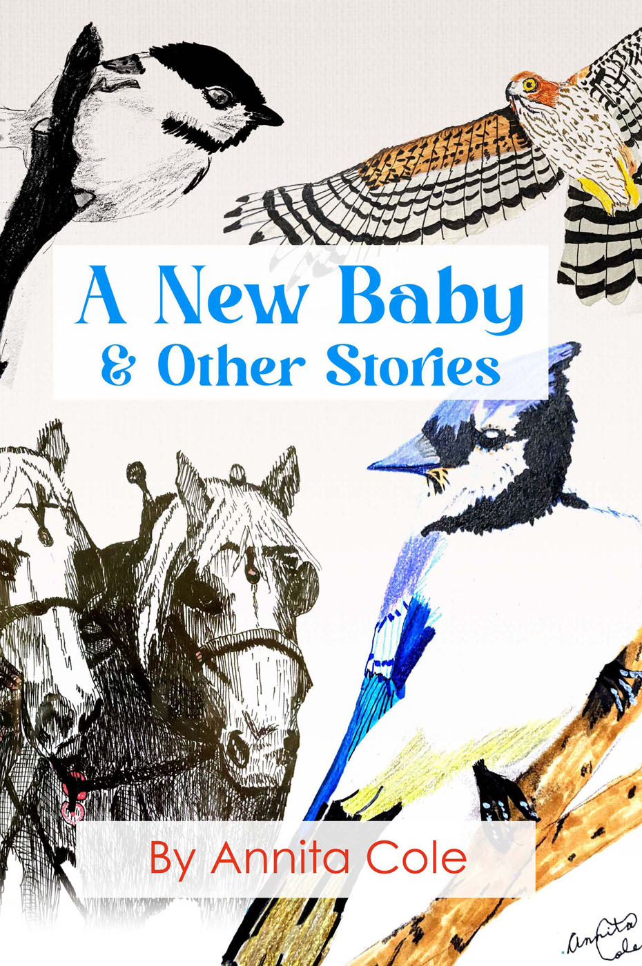 A New Baby & Other Stories by Annita Cole front cover