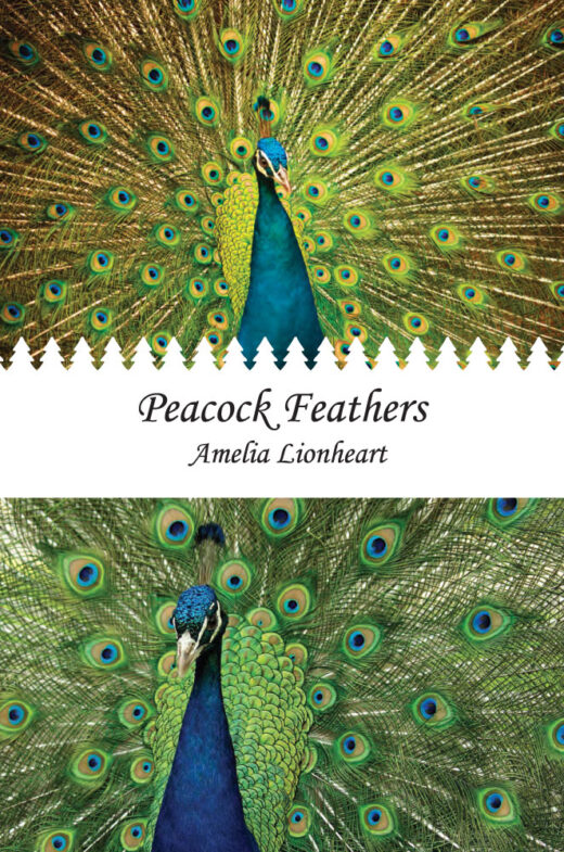 Front Cover of Peacock Feathers by Amelia Lionheart