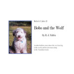 Front Cover of Bobo and the Wolf by R.J. Faltin