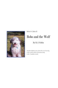 Front Cover of Bobo and the Wolf by R.J. Faltin