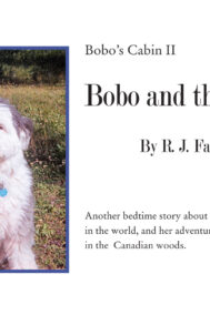 Front Cover of Bobo and the Wolf by R.J. Faltin