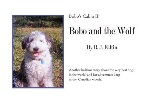 Front Cover of Bobo and the Wolf by R.J. Faltin