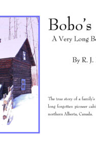 Front Cover of Bobo's Cabin by R.J. Faltin