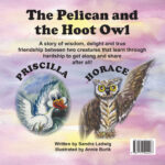 The Pelican and the Hoot Owl by Sandra Ludwig Back Cover