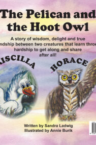 The Pelican and the Hoot Owl by Sandra Ludwig Back Cover