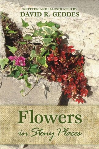 Flowers in Stony Places by David R. Geddes FRONT COVER