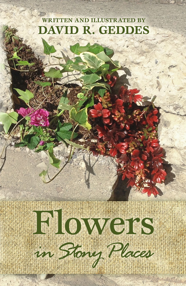 Flowers in Stony Places by David R. Geddes FRONT COVER