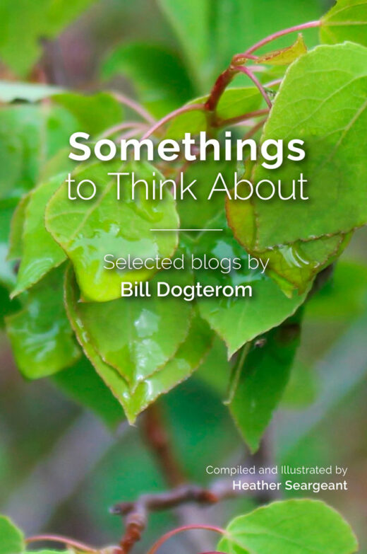 Front Cover of Somethings to Think About By Bill Dogterom and Heather Seargeant