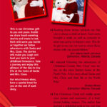 Santa's Christmas Memoirs Vol 1 by Robin L White Back Cover