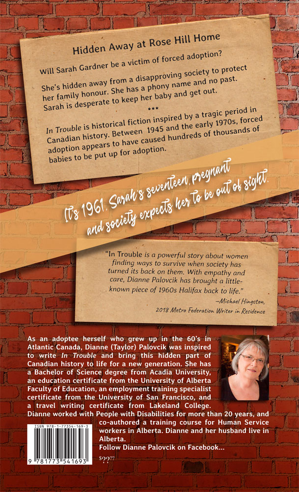 In Trouble by Dianne Palovcik Back Cover
