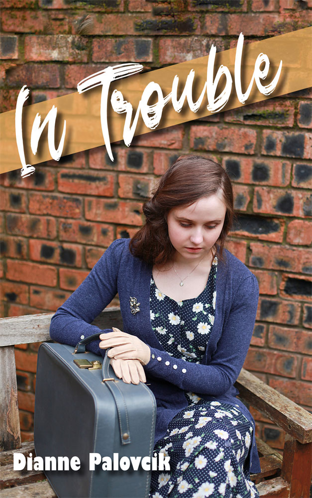 In Trouble by Dianne Palovcik Front Cover