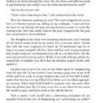 Pages from Brief Candle, Splendid Torch by Elizabeth Marie Rolfe